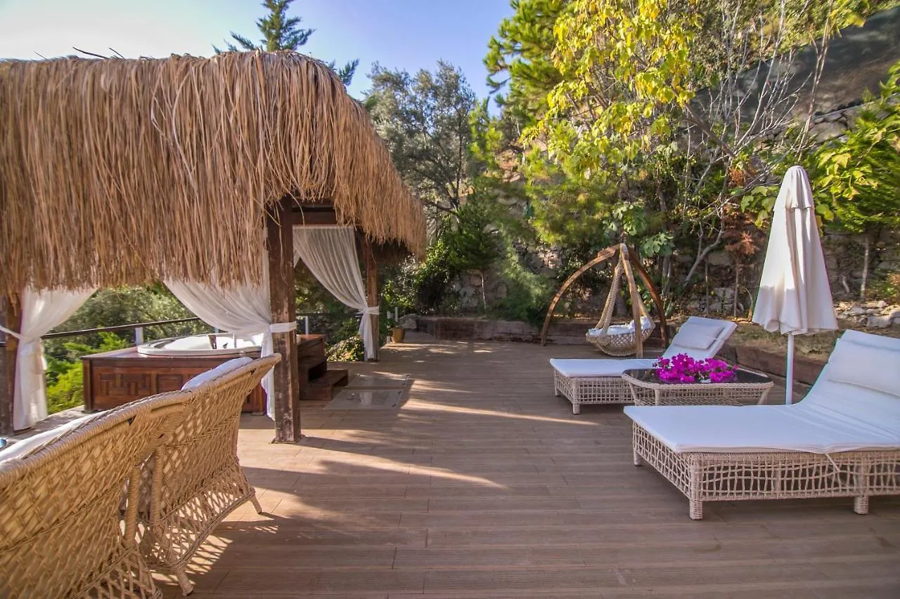 ****  Lissiya Hotel Faralya Turkey